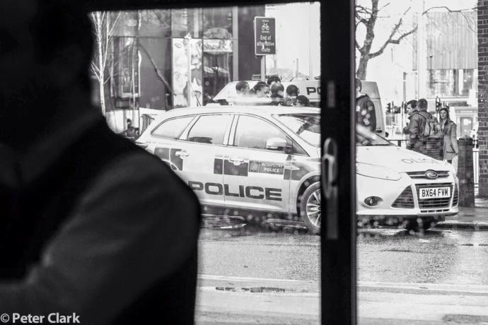 11150270_10152893904632017_2864571142096627259_n